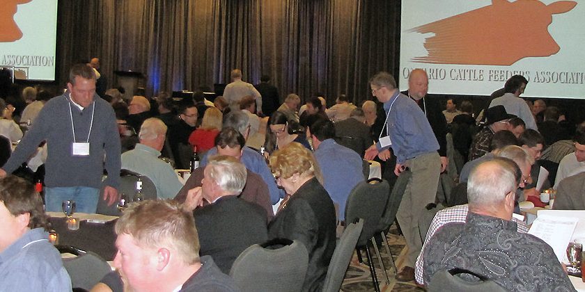 Beef Convention Crowd At Banquet & Auction